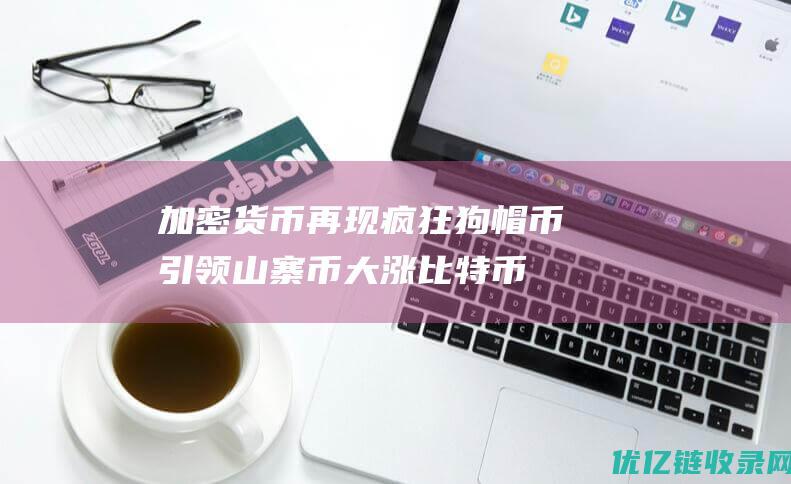 加密货币再现疯狂！狗帽币引领山寨币大涨比特币一度突破44000美元|代币|etf