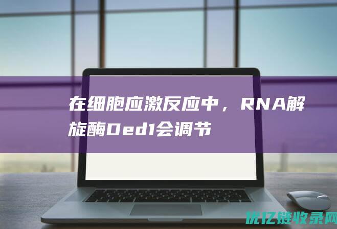 在细胞应激反应中，RNA解旋酶Ded1会调节蛋白质翻译和应激颗粒形成过程