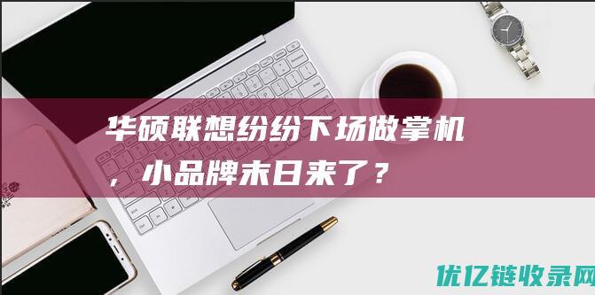 华硕联想纷纷下场做掌机，小品牌末日来了？