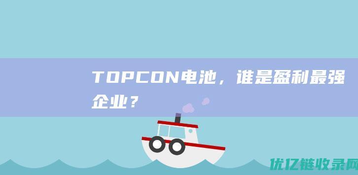 TOPCON电池，谁是盈利最强企业？