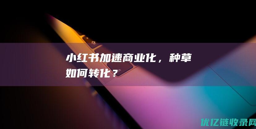 小红书加速商业化，种草如何转化？