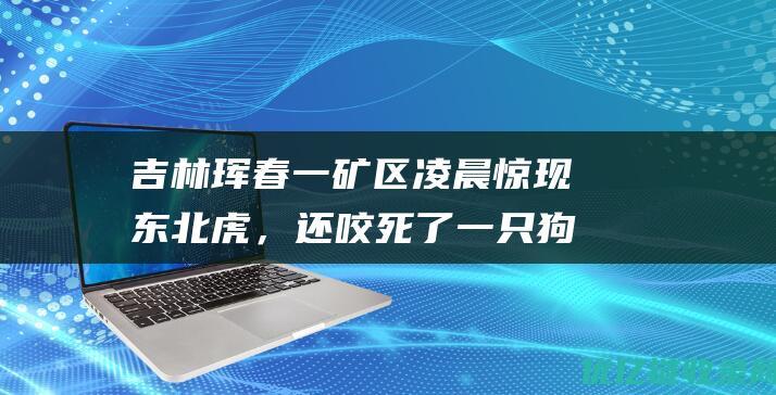 吉林珲春一矿区凌晨惊现东北虎，还咬死了一只狗