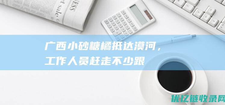 广西小砂糖橘抵达漠河，工作人员赶走不少跟