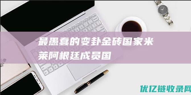 最愚蠢的变卦金砖国家米莱阿根廷成员国