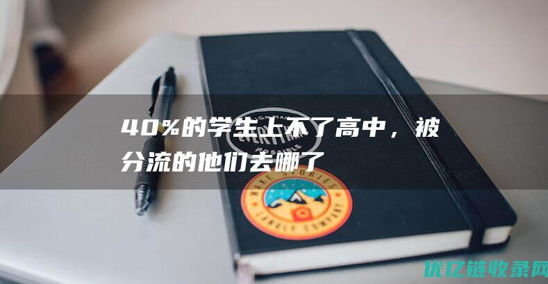 40%的学生上不了高中，被分流的他们去哪了_网易数读