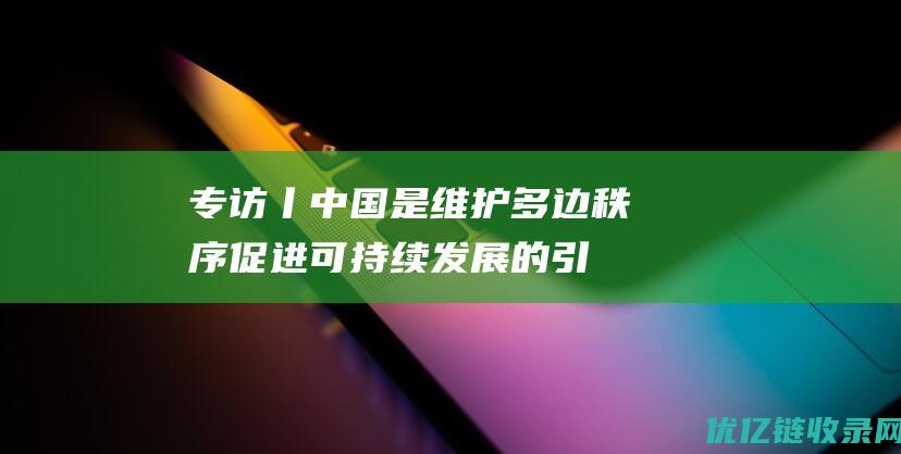 专访丨中国是维护多边秩序促进可持续发展的引