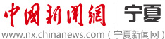 中国新闻网-宁夏新闻