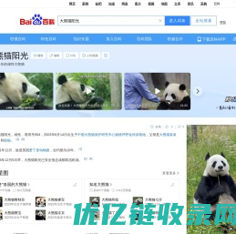 大熊猫阳光_百度百科